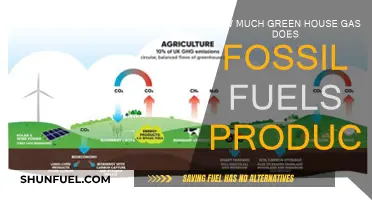 Greenhouse Gas Emissions: Fossil Fuels' Impact