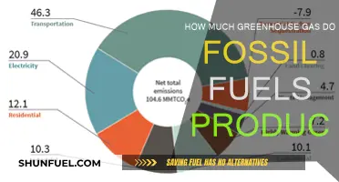 The Dark Side of Fossil Fuels: Greenhouse Gas Emissions