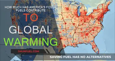 America's Fossil Fuels: Global Warming Culprit?