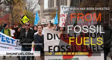 Billions Divested: Fossil Fuels' Future in Doubt