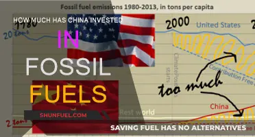 China's Fossil Fuel Investments: A Costly Affair