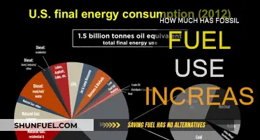 The Rise of Fossil Fuel Usage: A Troubling Trend