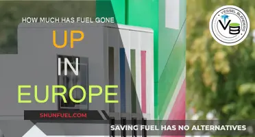 European Fuel Prices: A Steep Rise