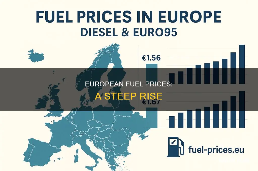 how much has fuel gone up in europe
