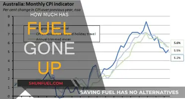 Fuel Prices Surge: How Much More Are We Paying?