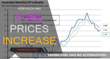Fuel Prices Surge: How High Will They Go?