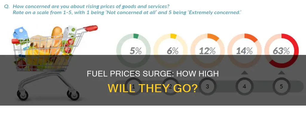 how much has fuel prices increased