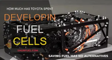 Toyota's Fuel Cell Investment: A Costly but Necessary Gamble