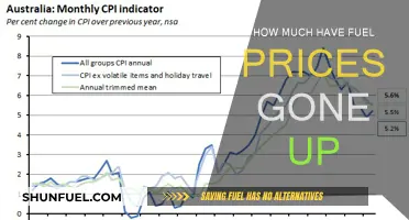 The Rising Cost of Fuel: How High Have Prices Gone?