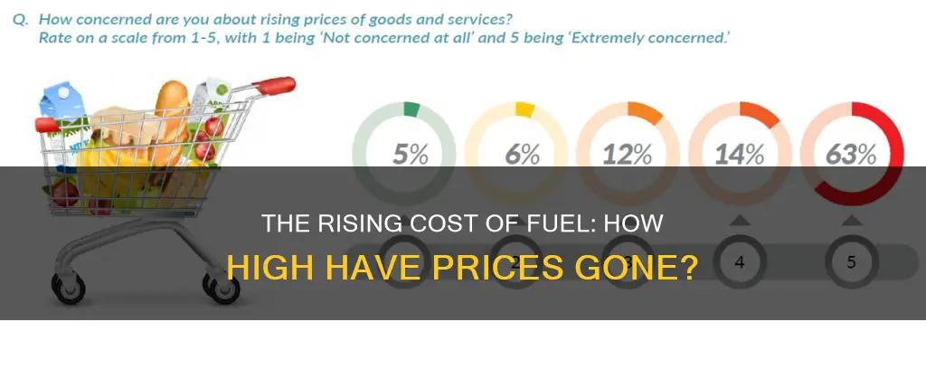 how much have fuel prices gone up