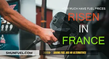 Fuel Prices in France: A Steep Rise