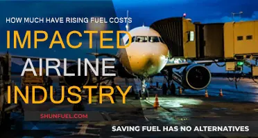 Soaring Fuel Costs: Impact on Airline Industry