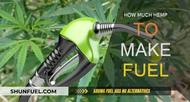 Hemp Fuel: How Much Biomass is Needed?