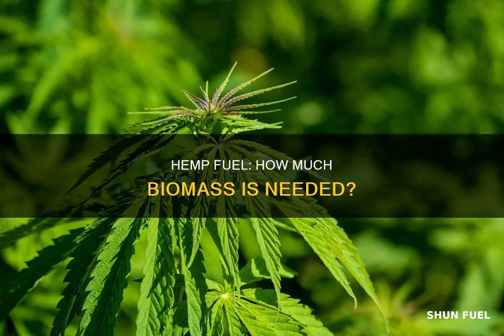 how much hemp to make fuel