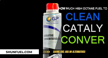 High Octane Fuel: Cleaning Your Catalytic Converter