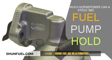 SBC Fuel Pump Power: How Much Can It Handle?