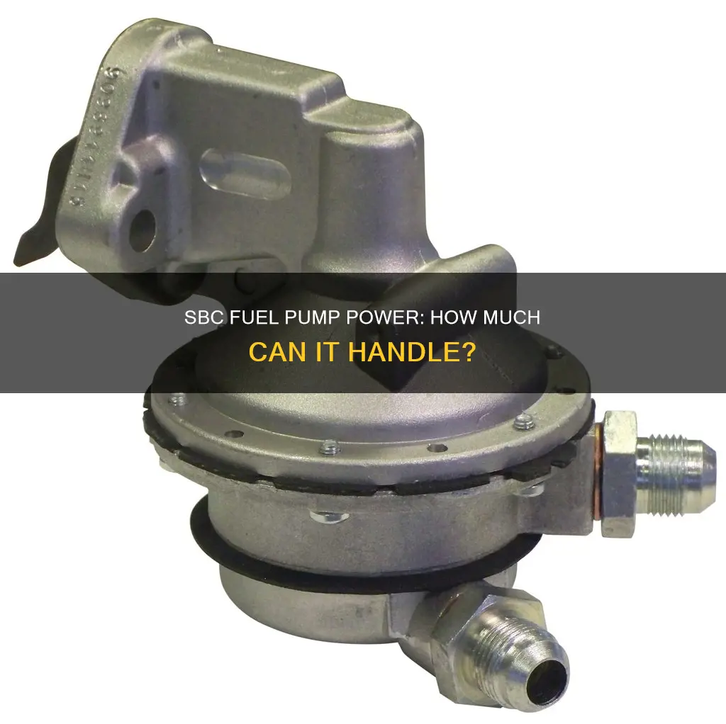 how much horsepower can a stock sbc fuel pump hold