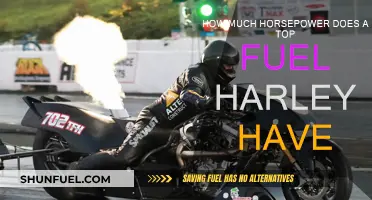 Unleashing the Power: Top Fuel Harley's Horsepower