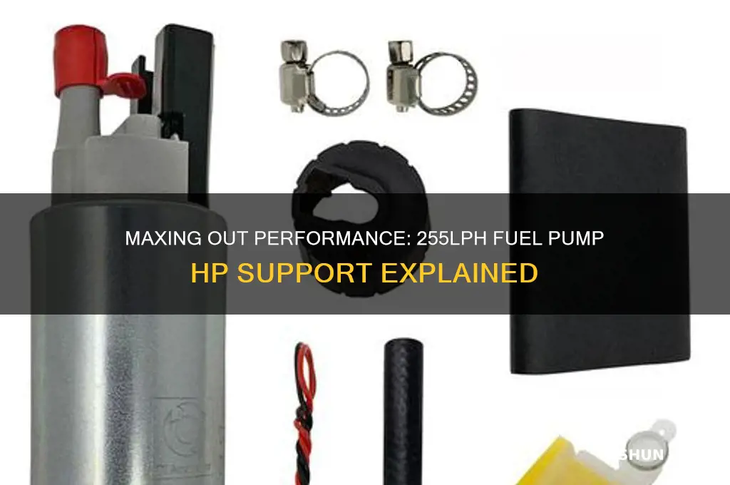 how much hp can the 255lph fuel pump support