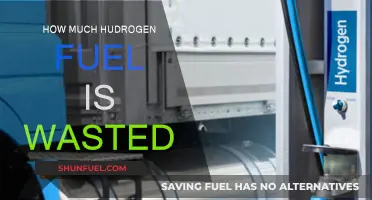 The Hydrogen Fuel Waste Problem