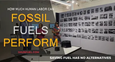 Fossil Fuels: Powering Human Endeavors, But for How Long?