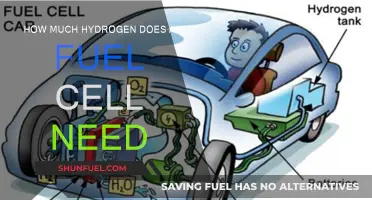 Understanding Hydrogen Fuel Cell Requirements