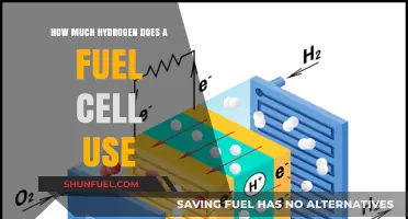 Hydrogen Consumption in Fuel Cells: Understanding Efficiency and Usage Rates