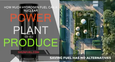Nuclear Power's Hydrogen Fuel Production Potential
