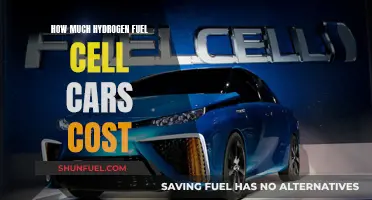 Hydrogen Fuel Cell Cars: Unlocking the Cost of the Future of Driving