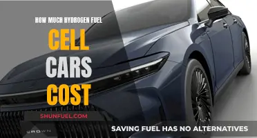 Hydrogen Fuel Cell Cars: The True Cost of Ownership