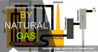 Natural Gas: Hydrogen Fuel's Future?