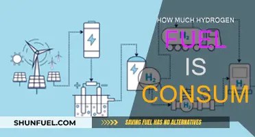 Hydrogen Fuel Consumption: How Much Is Too Much?