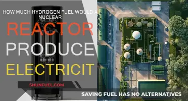 Nuclear Power: Hydrogen Fuel Generation via Electricity