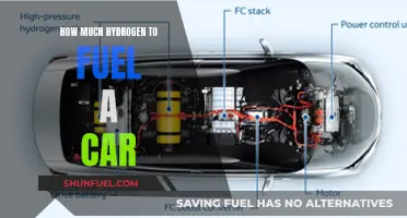 The Future of Cars: Hydrogen Fuel Requirements
