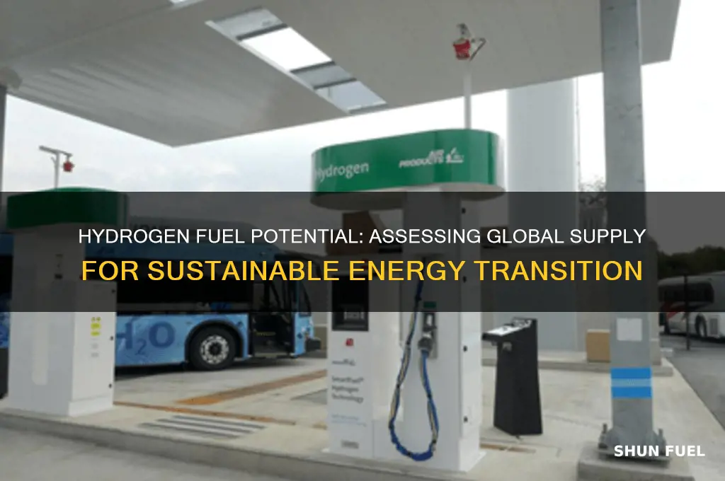 how much hyrdrogen fuel do we have to use