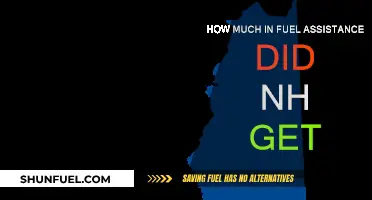 Fuel Assistance: New Hampshire's Support Amidst Energy Crisis