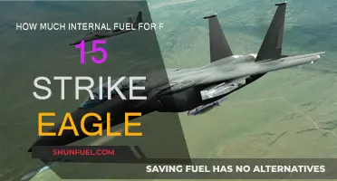 F-15 Strike Eagle: Fuel Capacity and Performance