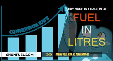 Gallon to Litre: Understanding Fuel Conversion