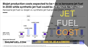 Jet Fuel: Gallon Cost and Beyond