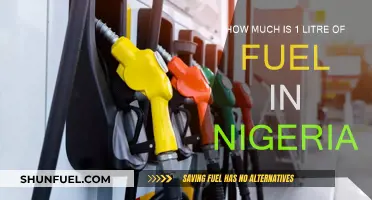 Fuel Prices in Nigeria: How Much is a Litre?