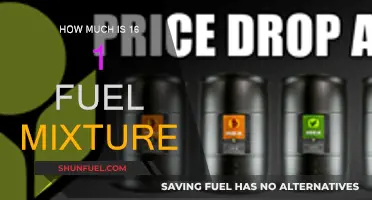 Understanding 16:1 Fuel Mixture Ratios: How Much Is It?