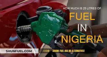 Fuel Costs in Nigeria: 25 Litres and Beyond