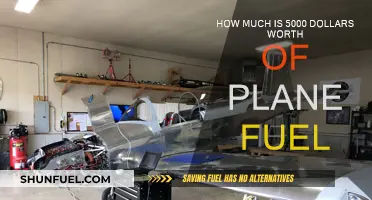 Plane Fuel Costs: $5000 Worth of Aviation Gasoline