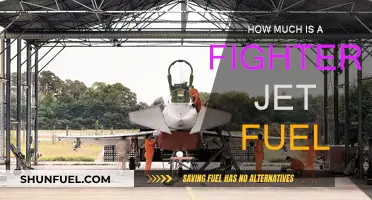 The High Cost of Jet Fuel: A Fighter Jet's Expense