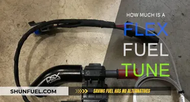 The Cost of Flex Fuel Tunes: Expensive Power?
