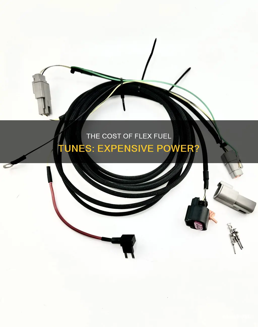 how much is a flex fuel tune