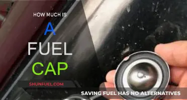 Fuel Cap Costs: A Small Price for Safety