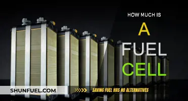 Fuel Cell Costs: How Expensive Are They?