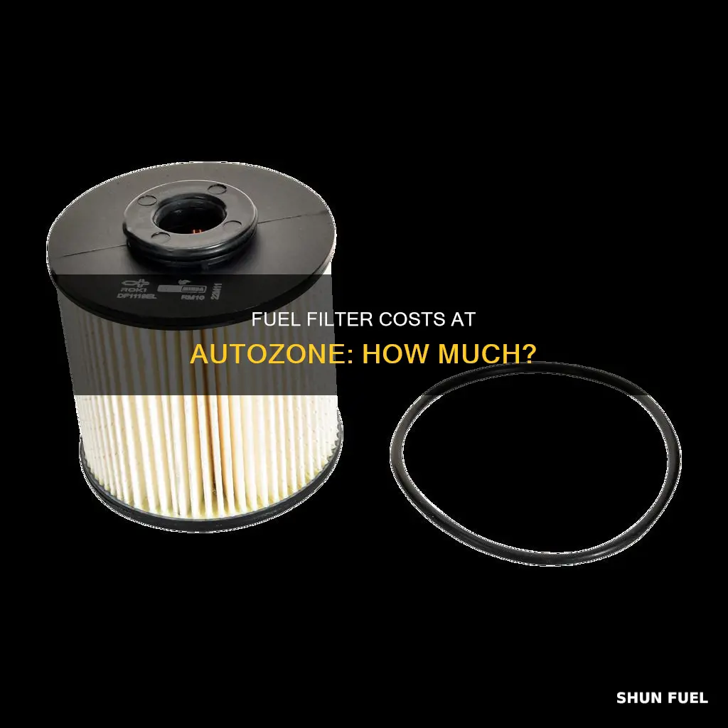 how much is a fuel filter at autozone