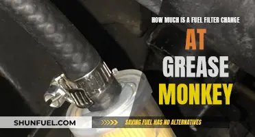 Cost of Fuel Filter Change at Grease Monkey